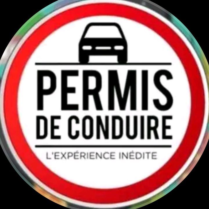 sanctions permis probatoire