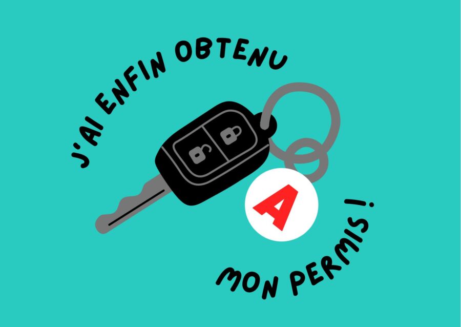 sanctions permis probatoire