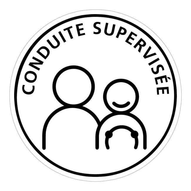 Code de la route : faut-il apprendre par cœur ou comprendre pour réussir efficacement