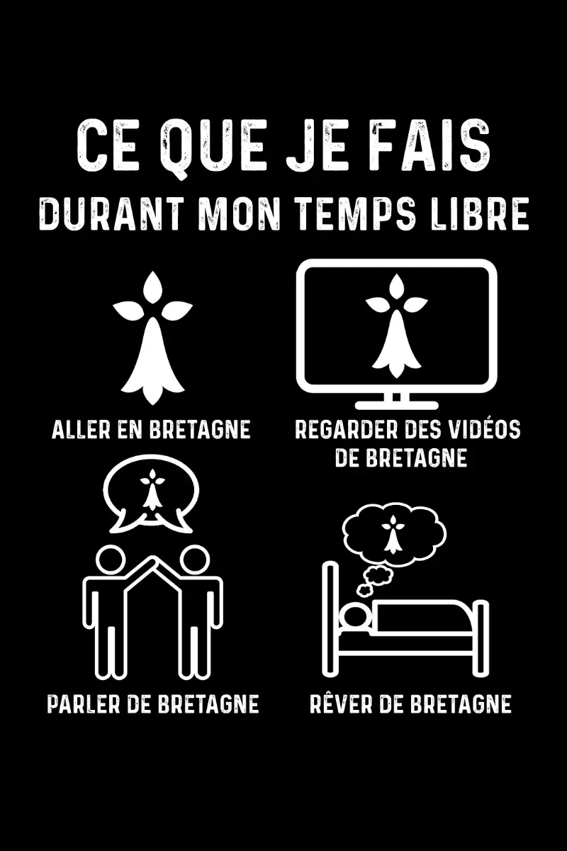 Permis conduire Saint Brieuc