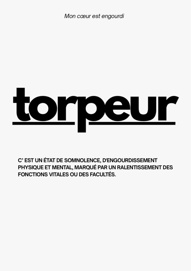 Réussite permis Tregueux