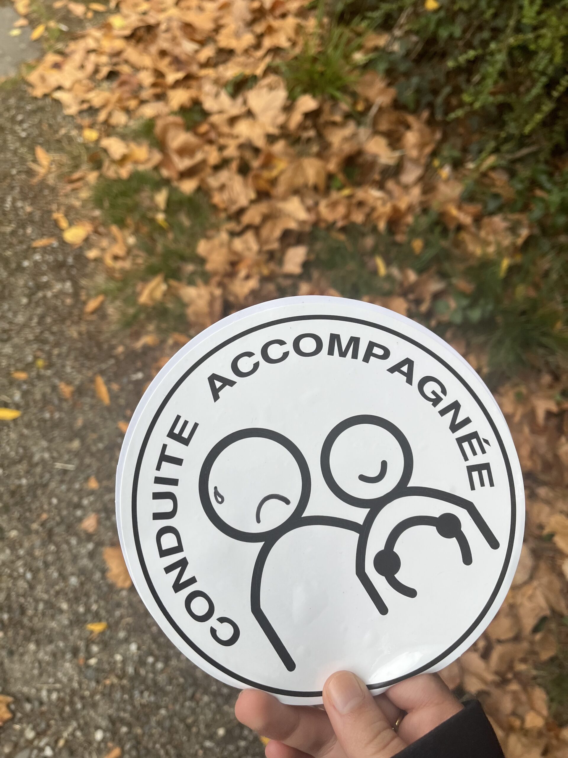 Réussite permis auto-école