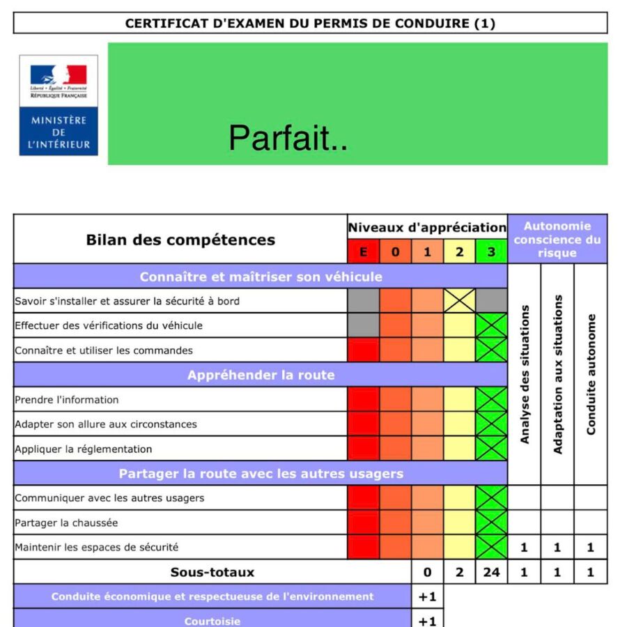 Cours de conduite adolescente